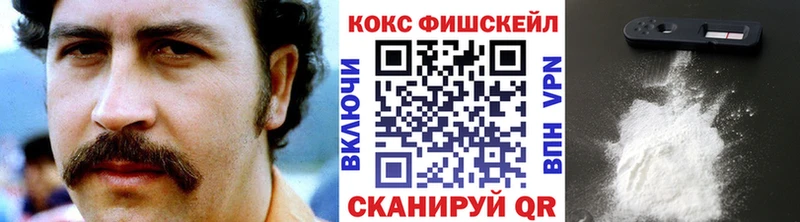 COCAIN Fish Scale  Купить где  Невинномысск 