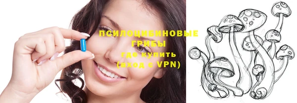 ГАЛЛЮЦИНОГЕННЫЕ ГРИБЫ Зерноград