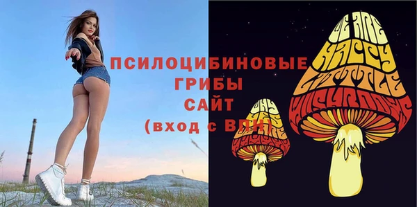 ГАЛЛЮЦИНОГЕННЫЕ ГРИБЫ Зерноград