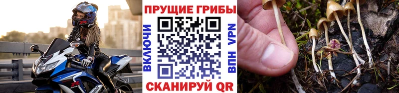 Галлюциногенные грибы MAGIC MUSHROOMS  Купить  Невинномысск 